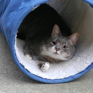 Meet your Posher, Holly